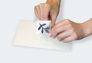 Peeling off the white protective film