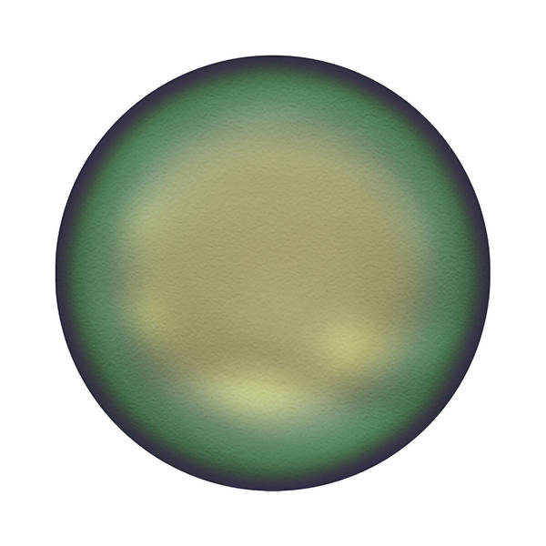 Swarovski Crystal Pearls 5860 10 mm Crystal Scarabaeus Green Pearl