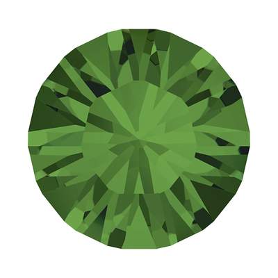 1028 pp 21 Fern Green F - 1440 pcs