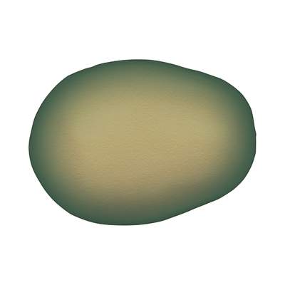5821 11 x 8 mm Crystal Iridescent Green Pearl - 250 pcs